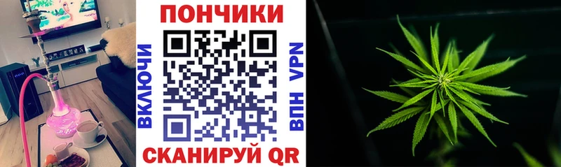 Купить  Мезень  Канабис OG Kush 